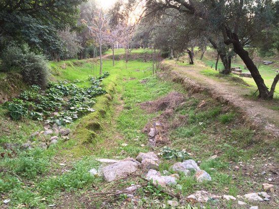 Archäologische Stätte der Akademie von Plato