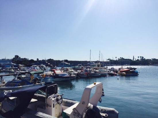 Asteroskoni Made in Kos