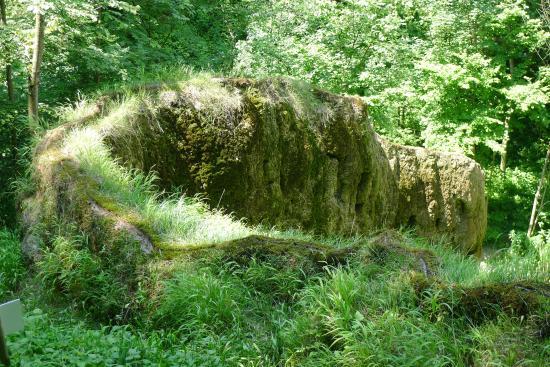 Wachsender Felsen