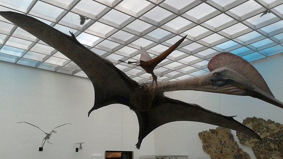 State Museum of Natural History