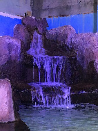 Eskişehir Büyükşehir Belediyesi ETİ Sualtı Dünyası