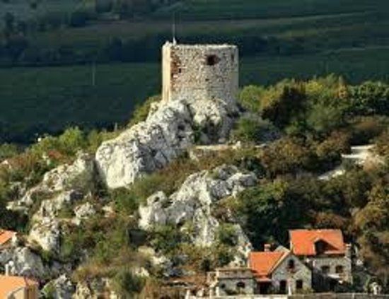 Ruiny zamku Kozí hrádek