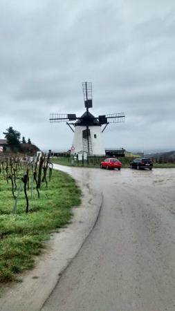 Windmühle Retz