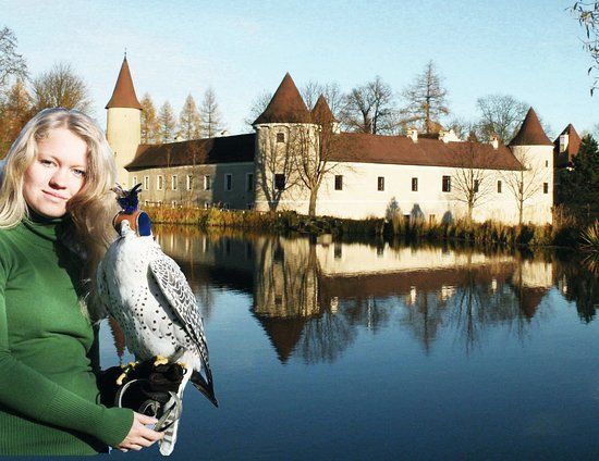 Greifvogelzentrum Waldreichs