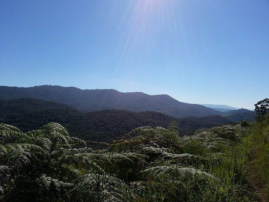 Parque Estadual Do Jurupará