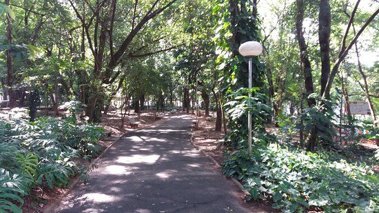 Bosque da Comunidade