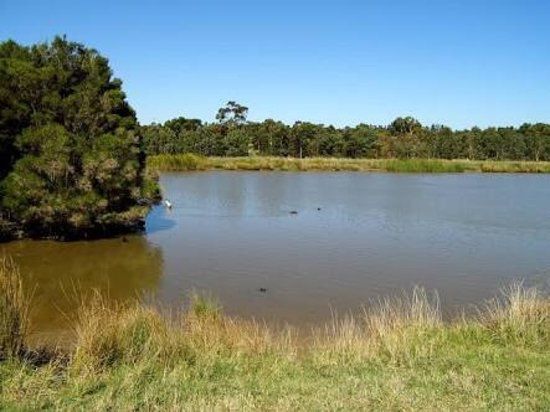 Frog Hollow Reserve