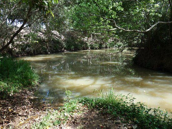 The Peterson Creek Walking Track