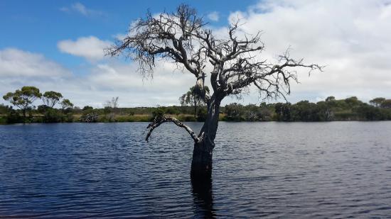 Lake Monjingup Conservation and Recreation Area