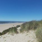 Flyboy Brewery Tigard