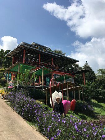 Max Wine and Coffee On Hill