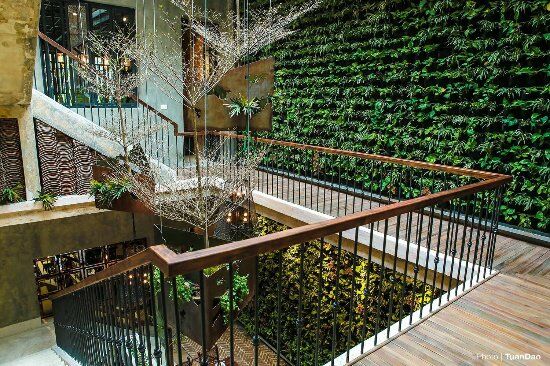 Dong Phu 1932 Vietnamese Cuisine