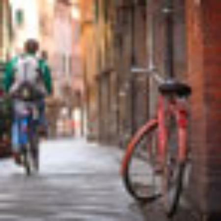 La Civette de L'etoile