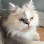 Brasserie de La Poste