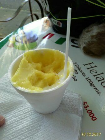 Nuovo Fiore Helados Artesanales