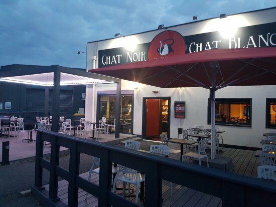 Chat Noir Chat Blanc