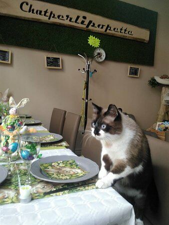 Chatperlipopette Cafe