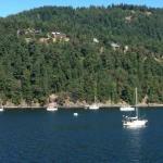 Java City Bakery Cafe