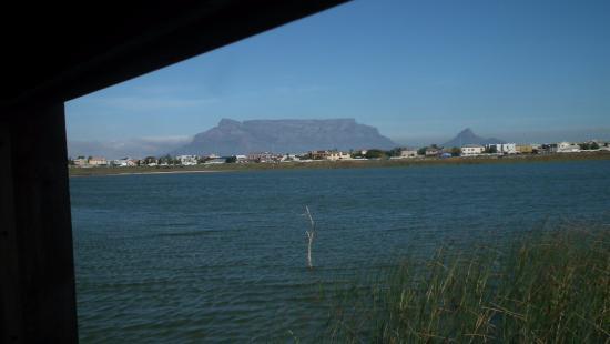 Table View Nature Reserve