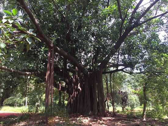 Parque Municipal Chácara do Jockey