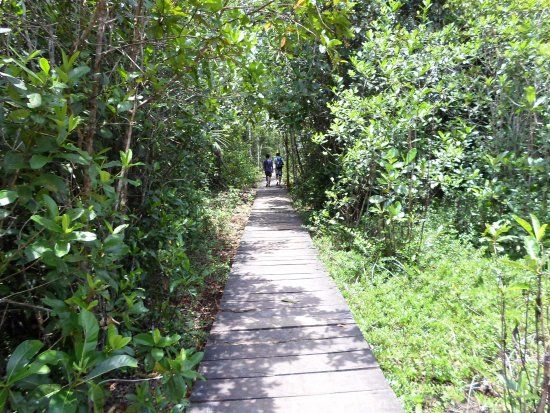 Cachoeira das Orquideas