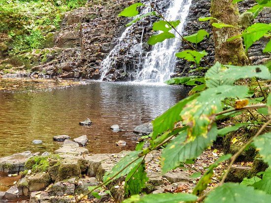 Cascade du pont de la Roche