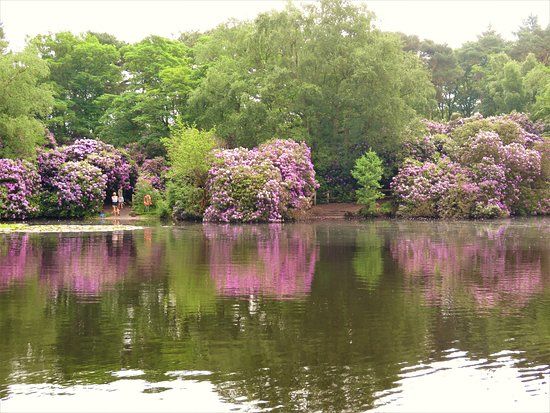 Royden Park & Thurstaston Common Nature Reserve
