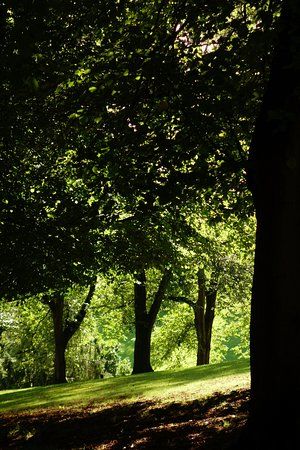 Beechwood Park