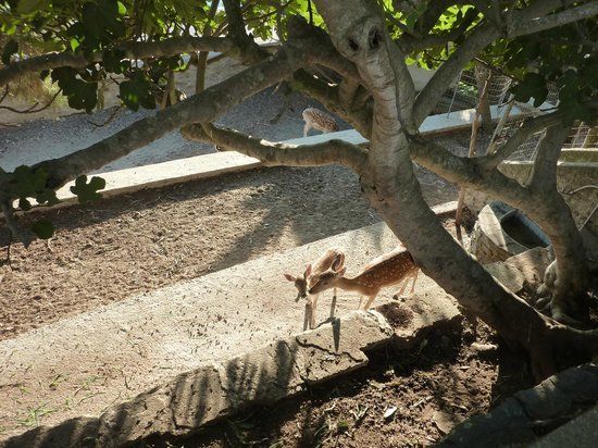 Moni Kimiseos tis Theotokou