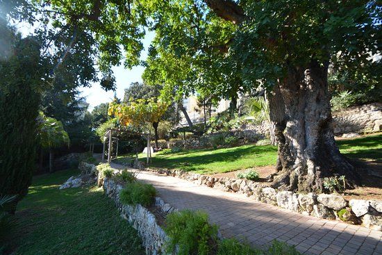 Parc Sacha Guitry