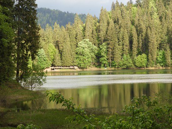 Synevyr National Park