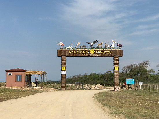 Karacabey Longoz Ormanları