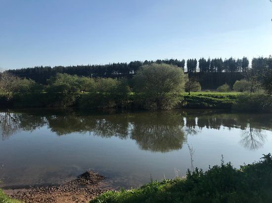 The Wharf Caravan Park