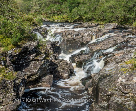 Caledonian Forest Reserve