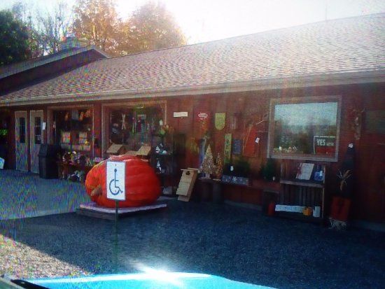 Tom Dooleys Apple Orchard