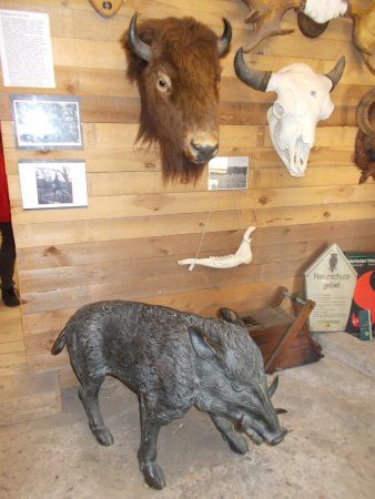 Forst- und Jagdmuseum Ferdinand von Raesfeld