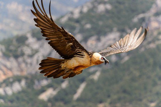 Eco Museo-Centro de Visitantes