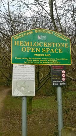 Hemlock Stone