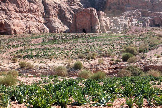 Sextius Florentinus Tomb