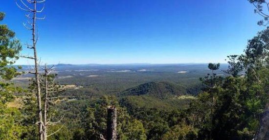 Mount Bauple National Park