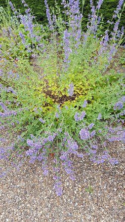 Birkheads Secret Gardens