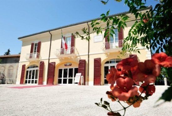 Museo Musicalia