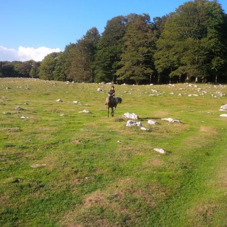 Centro Ippico Le Foche