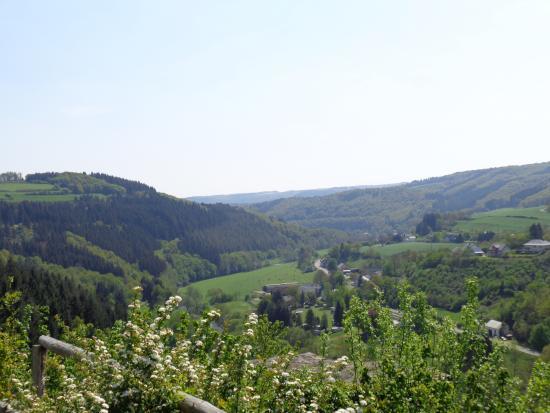 Chateau-Fort de Dasburg