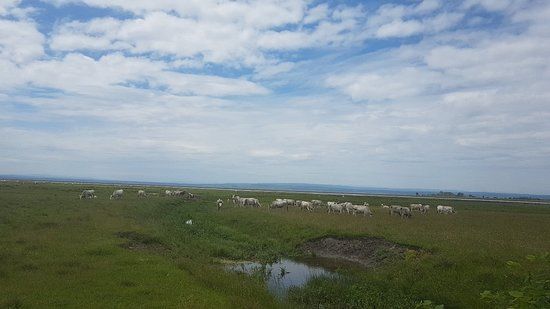 Vogelschutzgebiet Lange Lacke
