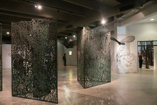 Museo de Bellas Artes René Brusau