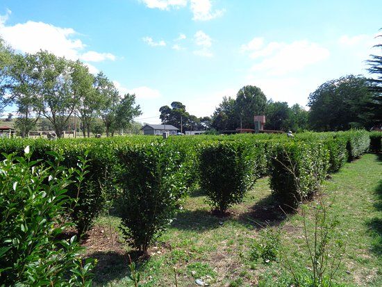 Paseo de los Espanoles