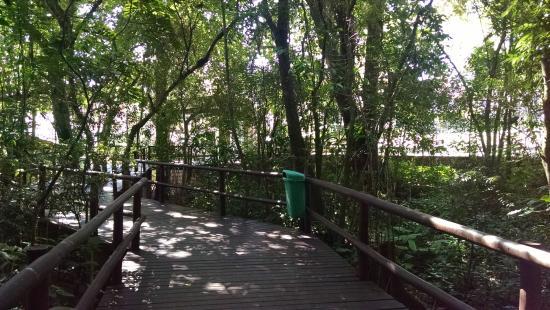 Bosque Pedro Medeiros