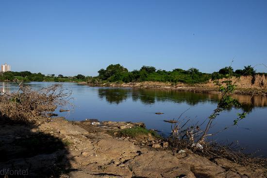 Parque Floresta Fóssil