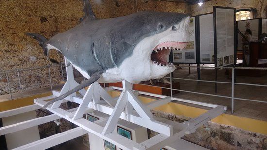 Museu Municipal de Cananéia